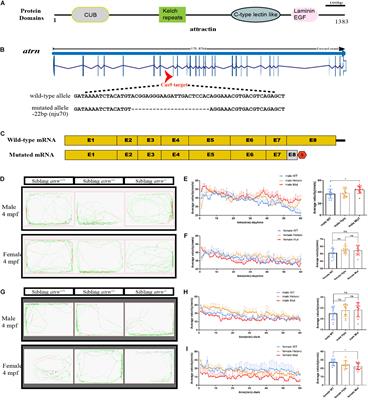 Attractin Participates in Schizophrenia by Affecting Testosterone Levels